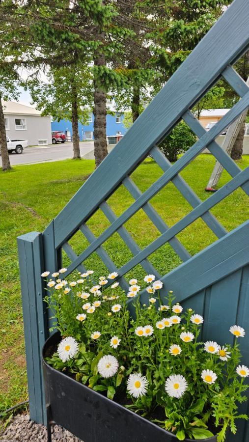 B&B Rooms Husavik 1 Exterior photo